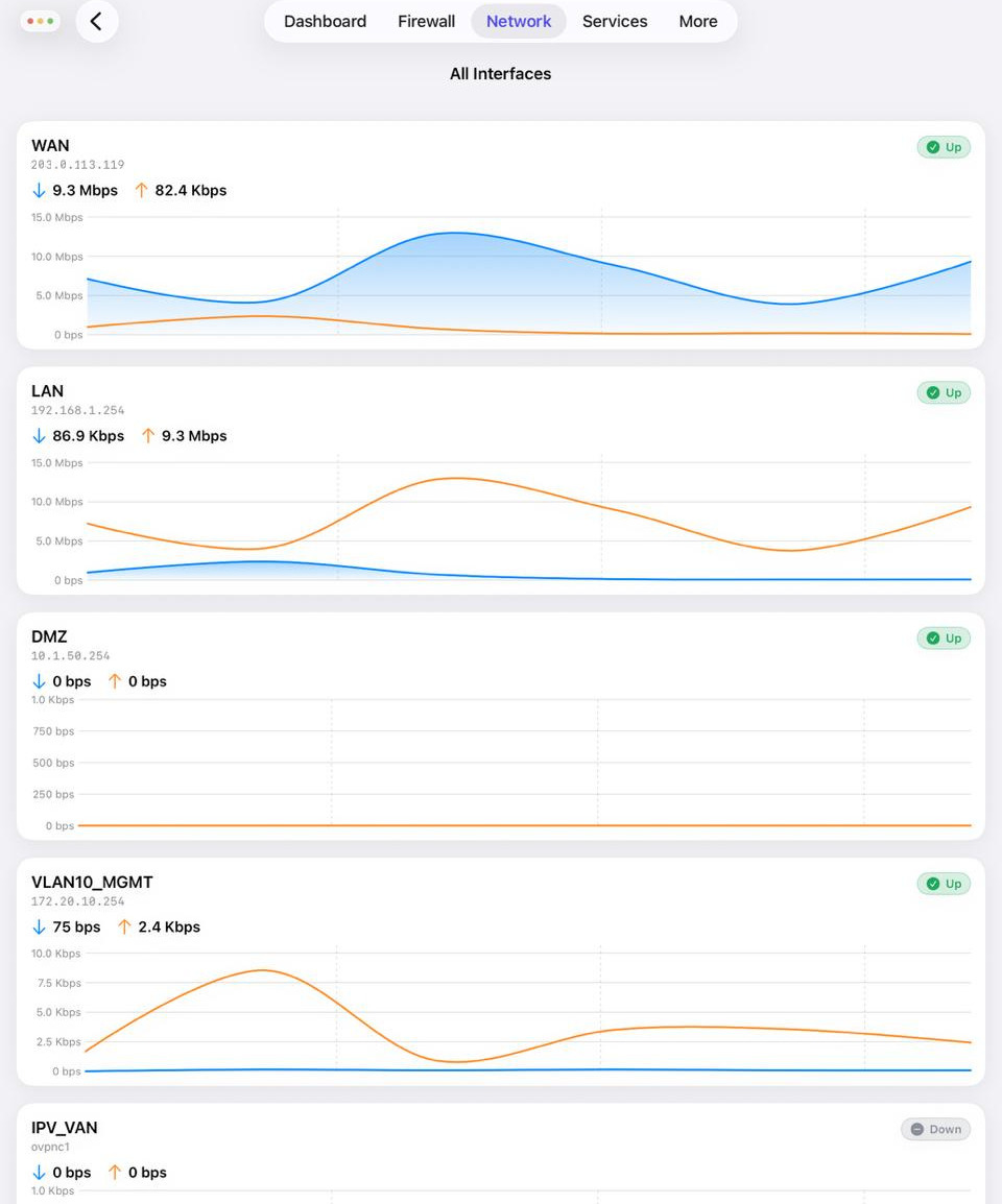 All interfaces on iPad with live throughput charts for WAN, LAN, DMZ and VLANs
