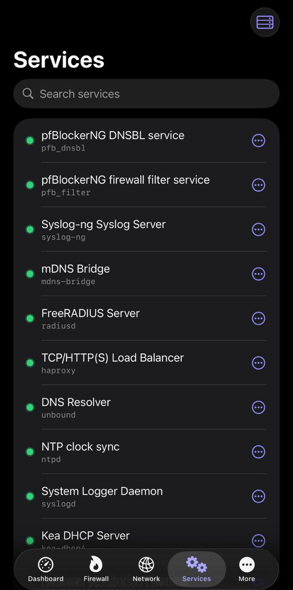Services on iPhone: pfBlockerNG, Syslog-ng, FreeRADIUS, HAProxy, DNS Resolver and more
