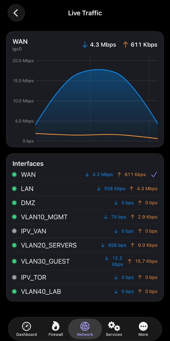 Live Traffic on iPhone: WAN throughput graph and live rates for every interface